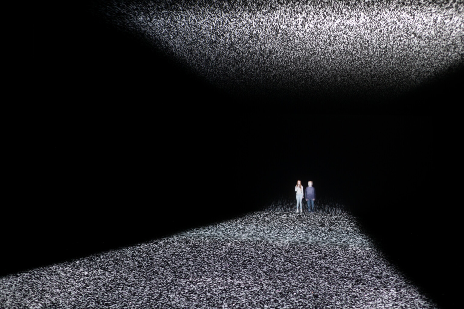 Balades et culture au TNP