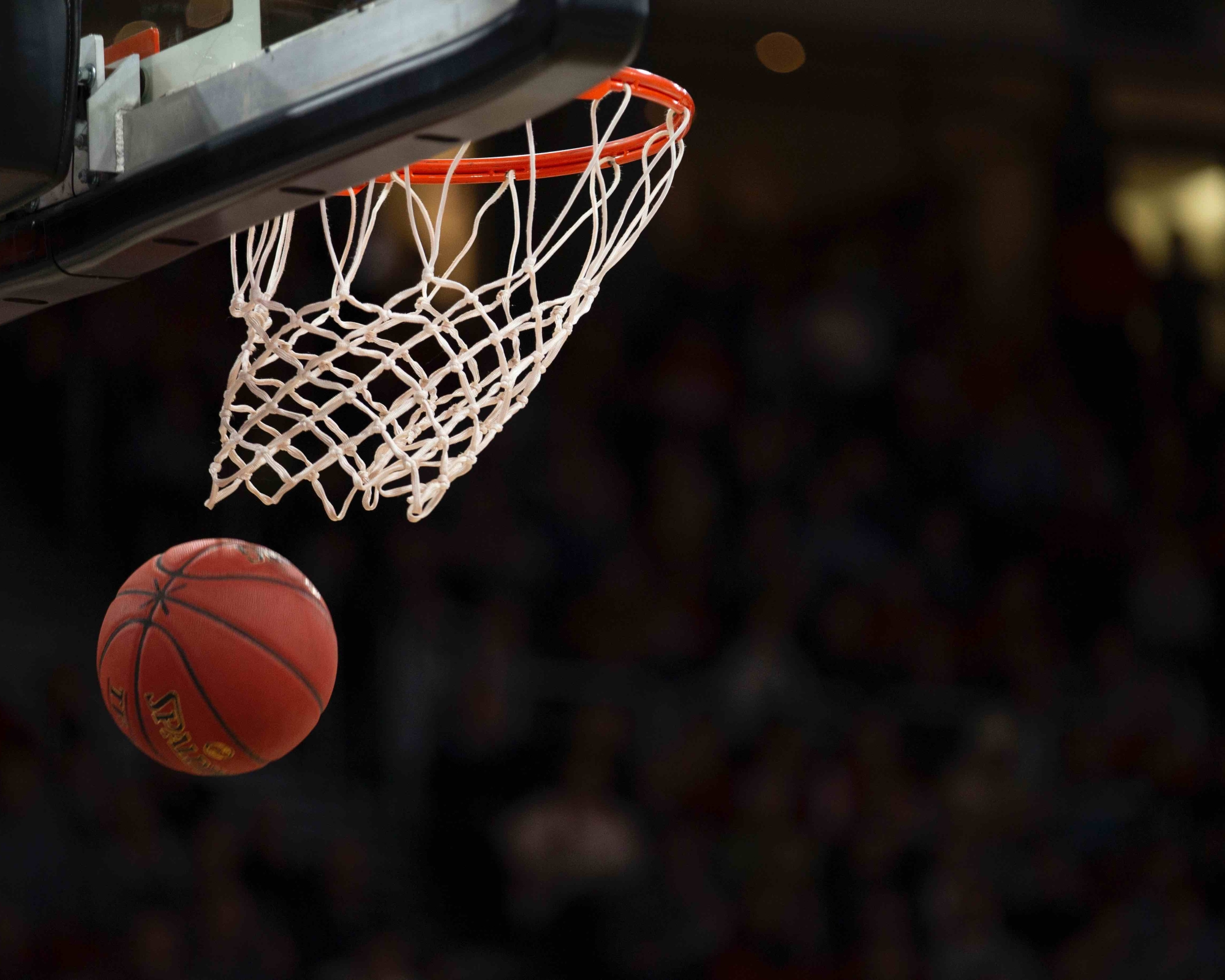 Séances d'essai basket